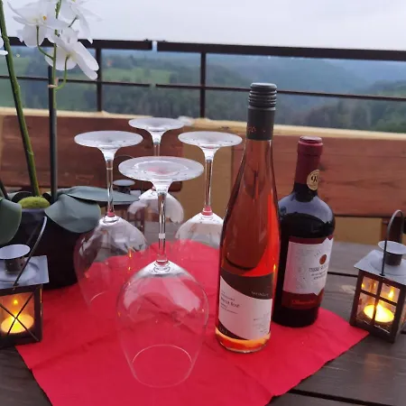 Penthouse Harz-traum 372 Hohegeiß