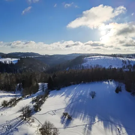 Penthouse Harz-traum 372 Appartement