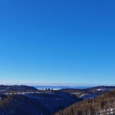 Penthouse Harz-traum 372 Appartement