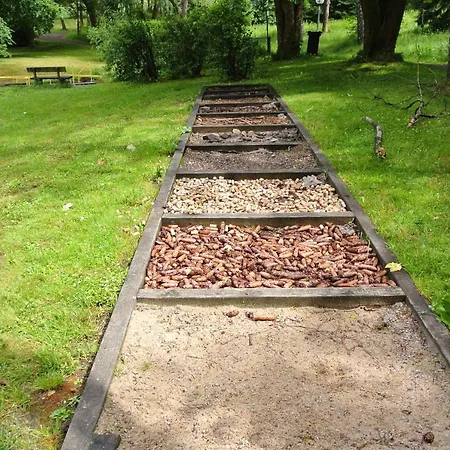 Penthouse Harz-traum 372 דירה *