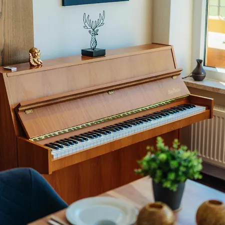 Penthouse Harz-traum 372 * Hohegeiß