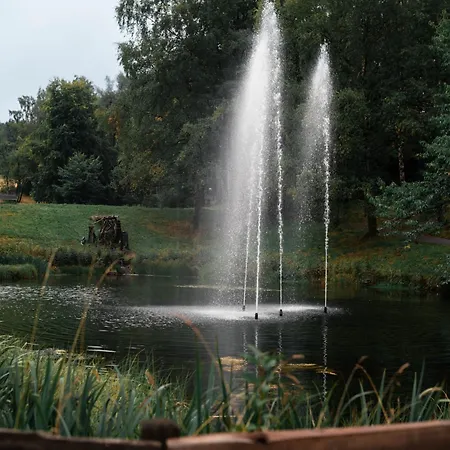 Appartement Penthouse Harz-traum 372 Hohegeiß